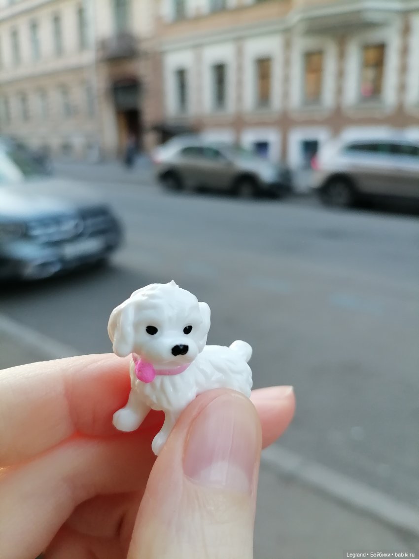 Санкт-Петербург. Цветение сакуры (фото 2)