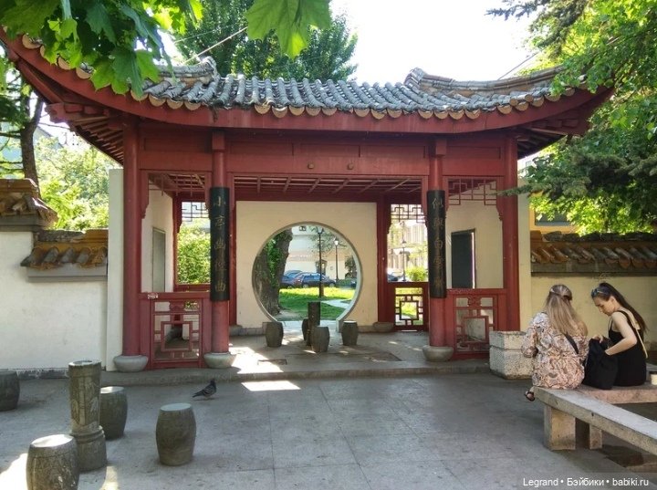 Санкт-Петербург. Цветение сакуры