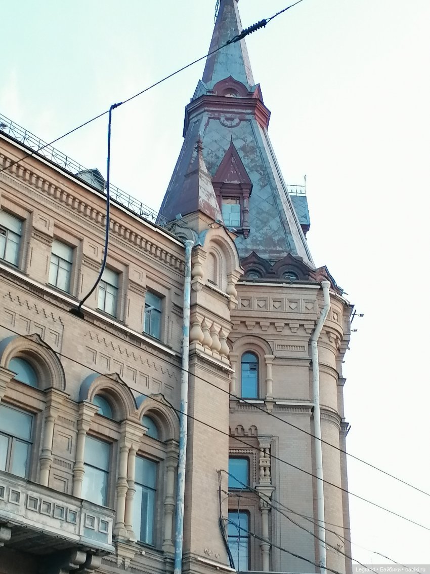 Санкт-Петербург. Цветение сакуры (фото 10)