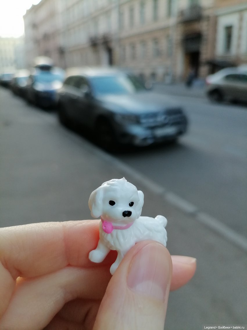 Санкт-Петербург. Цветение сакуры