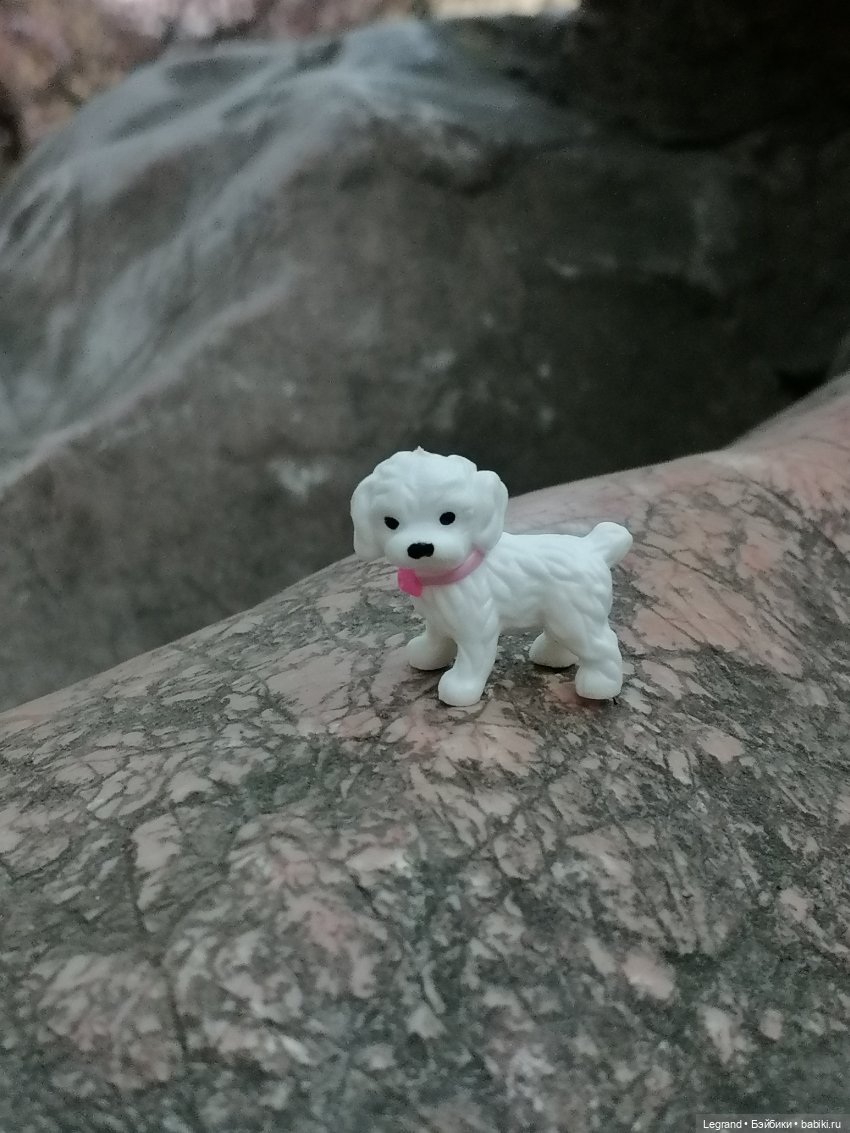 Санкт-Петербург. Цветение сакуры