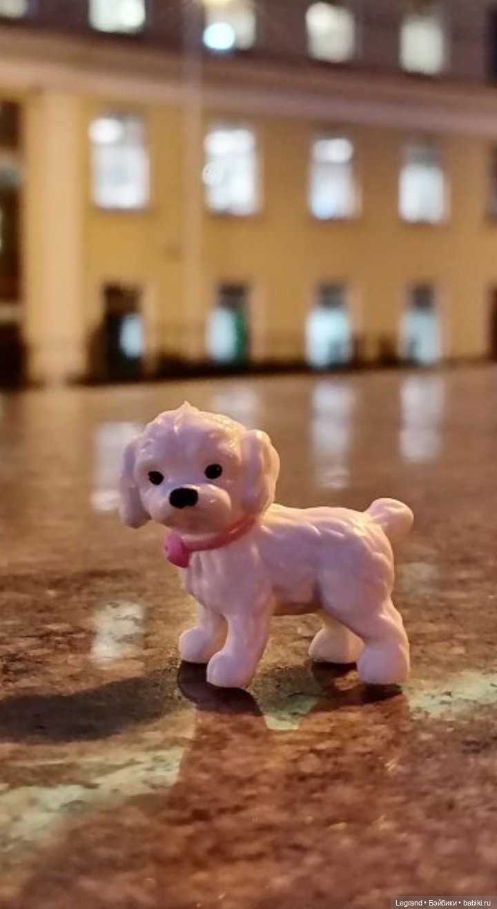 Санкт-Петербург: Айсель в вечернем Парадном