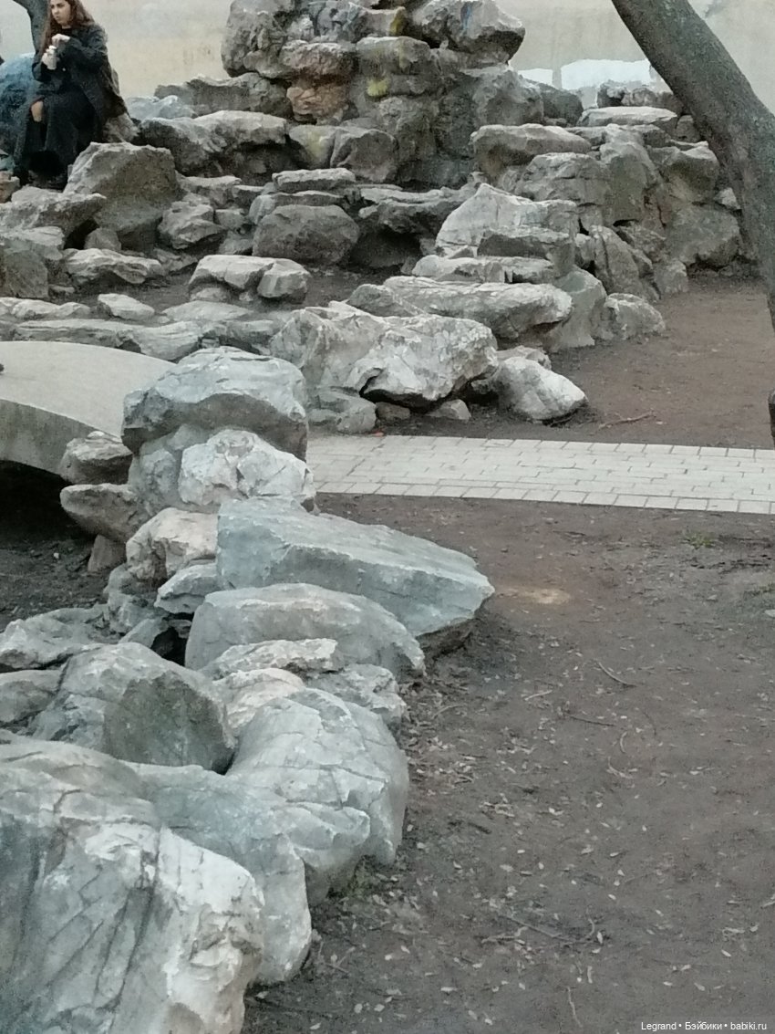 Санкт-Петербург. Цветение сакуры