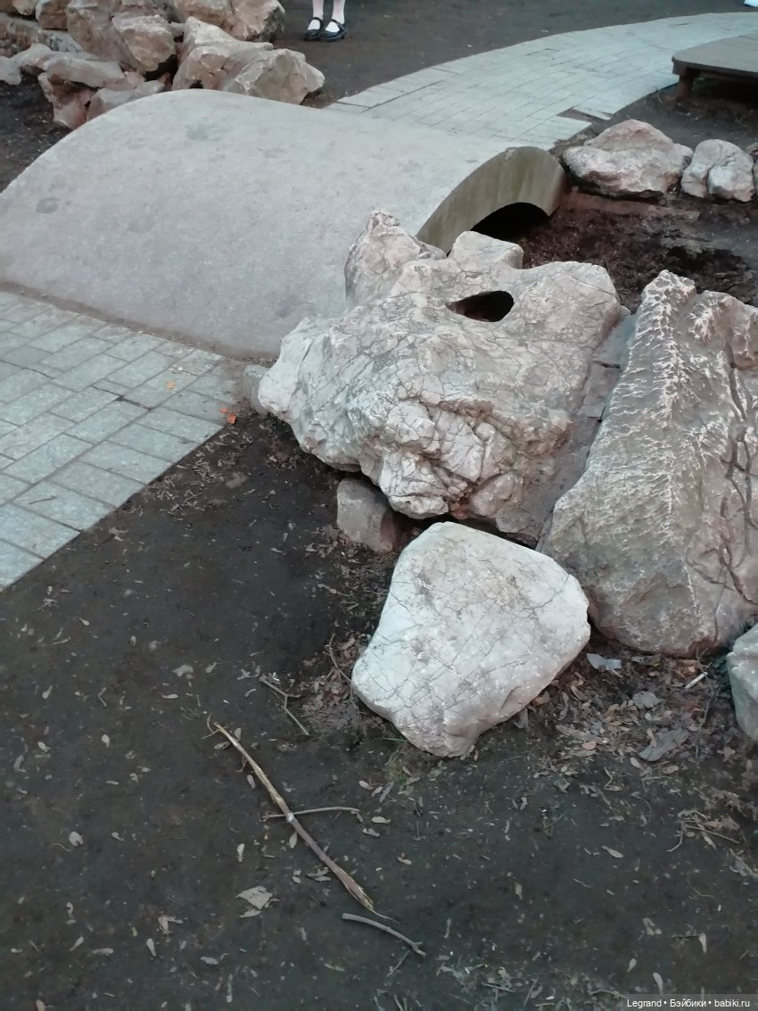 Санкт-Петербург. Цветение сакуры