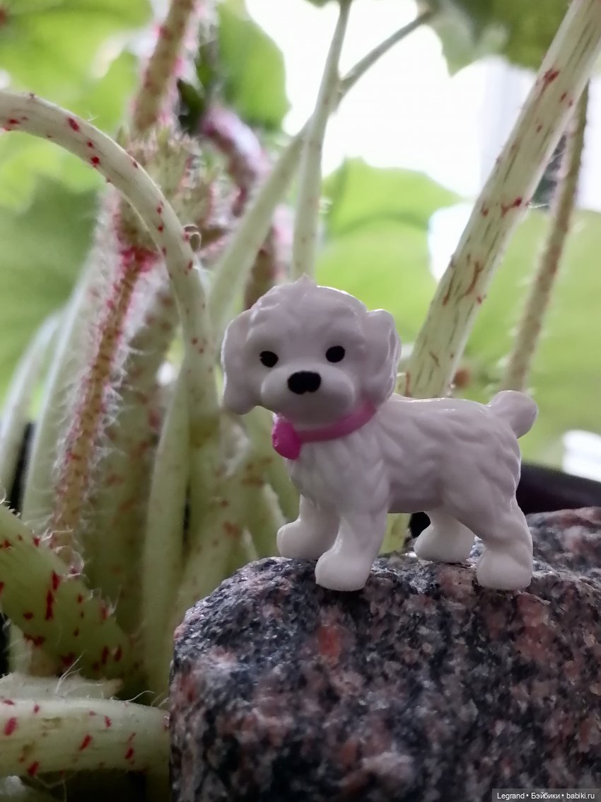 Санкт-Петербург: Айсель в вечернем Парадном