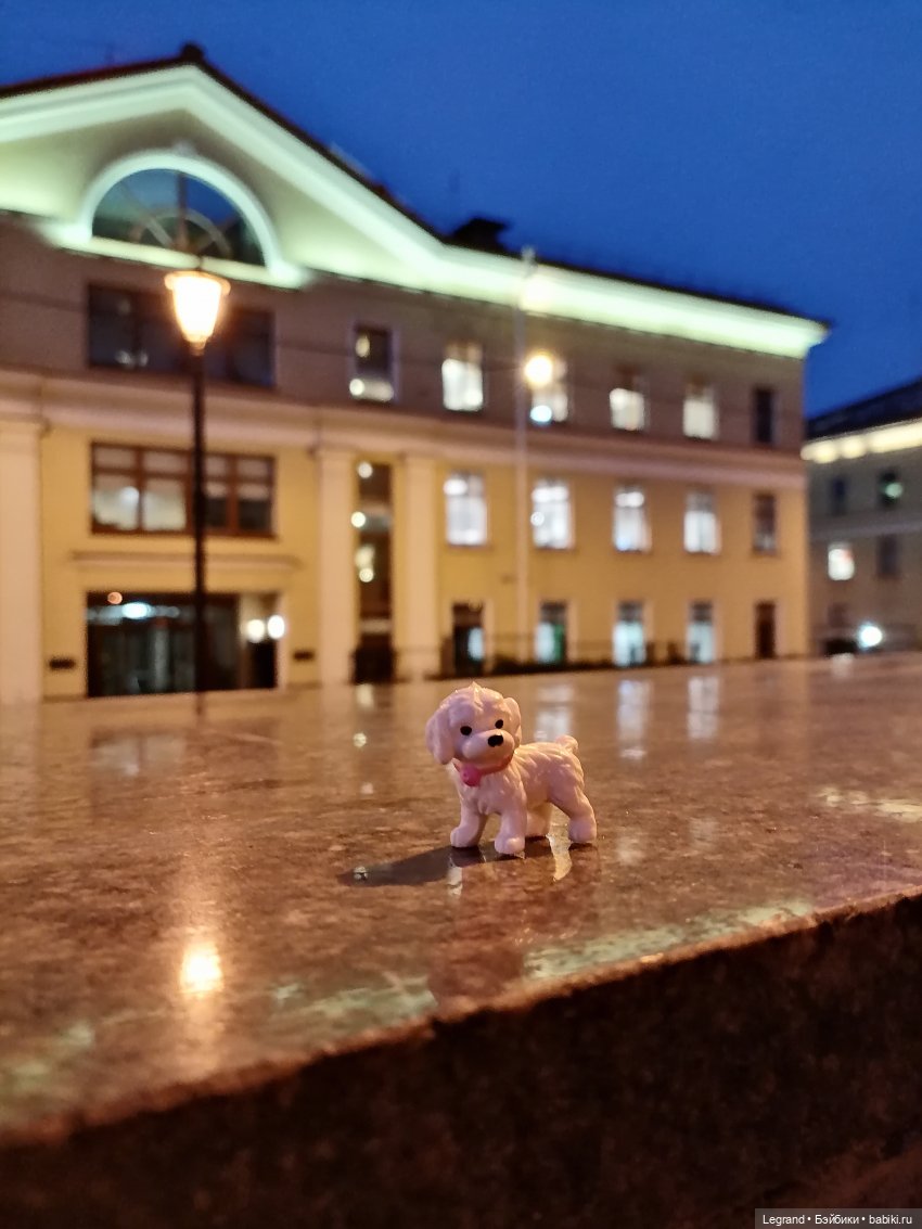 Санкт-Петербург: Айсель в вечернем Парадном (фото 9)