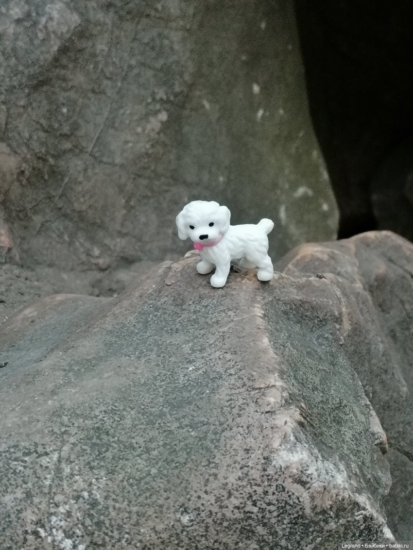 Санкт-Петербург. Цветение сакуры