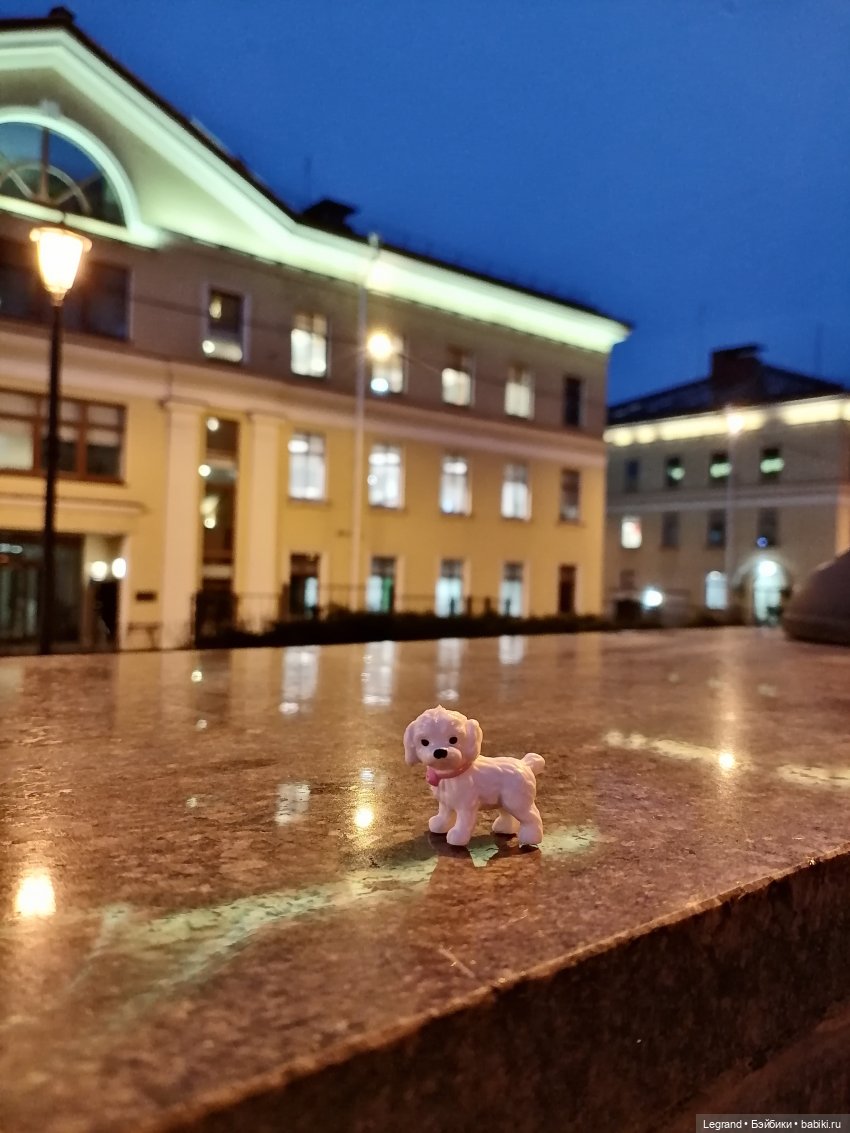 Санкт-Петербург: Айсель в вечернем Парадном (фото 7)