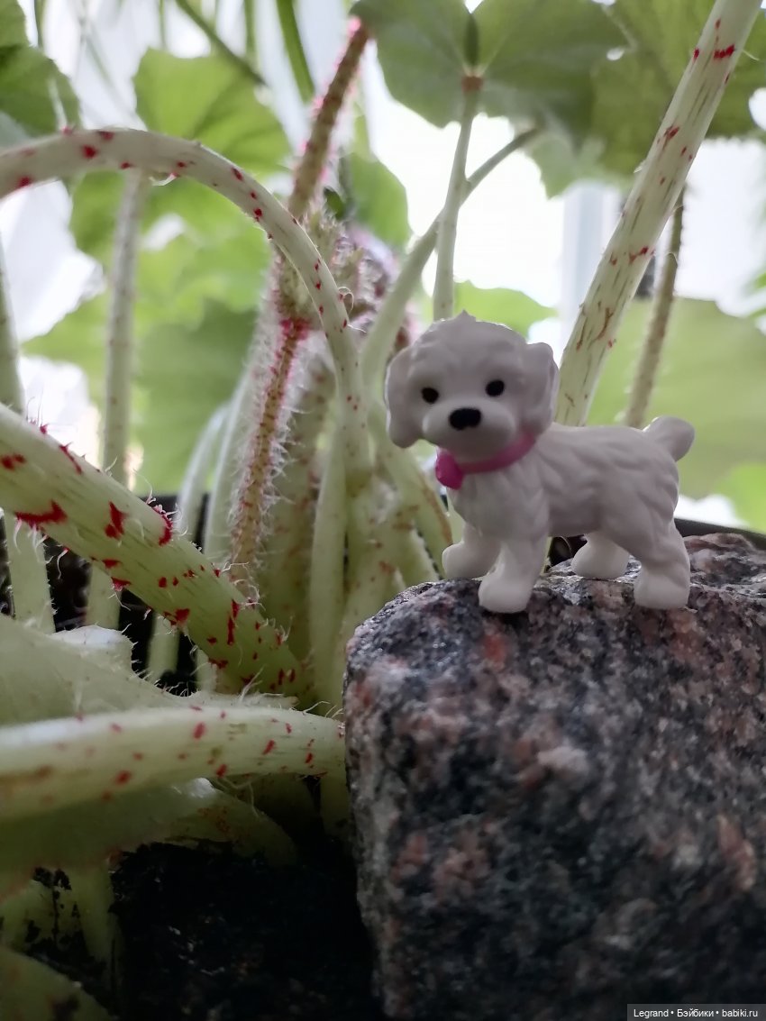 Санкт-Петербург: Айсель в вечернем Парадном