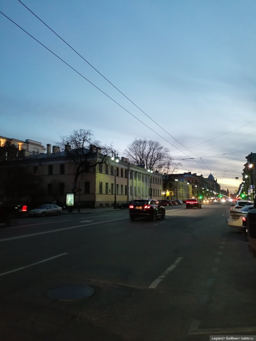 Санкт-Петербург. Цветение сакуры