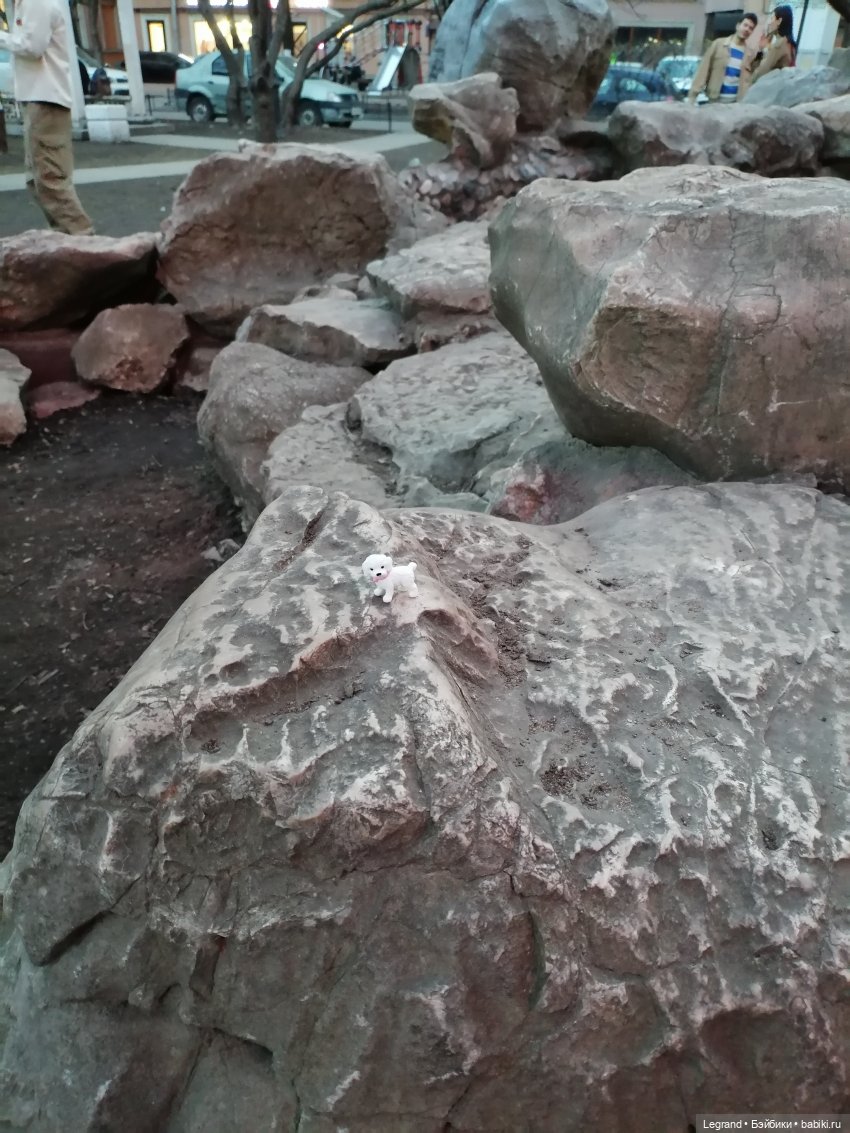 Санкт-Петербург. Цветение сакуры