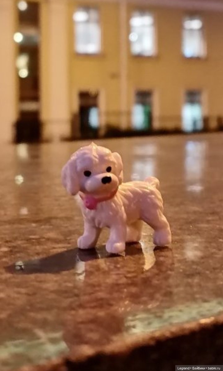 Санкт-Петербург: Айсель в вечернем Парадном (фото 10)