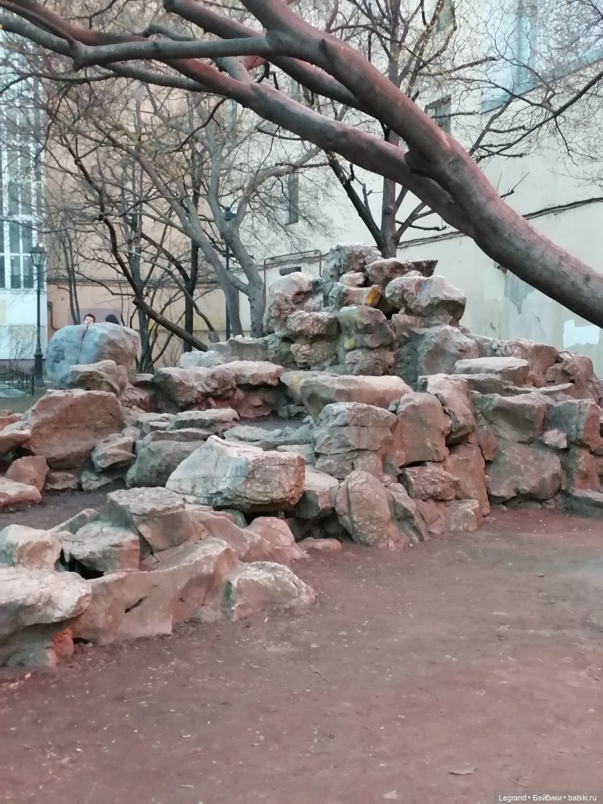 Санкт-Петербург. Цветение сакуры