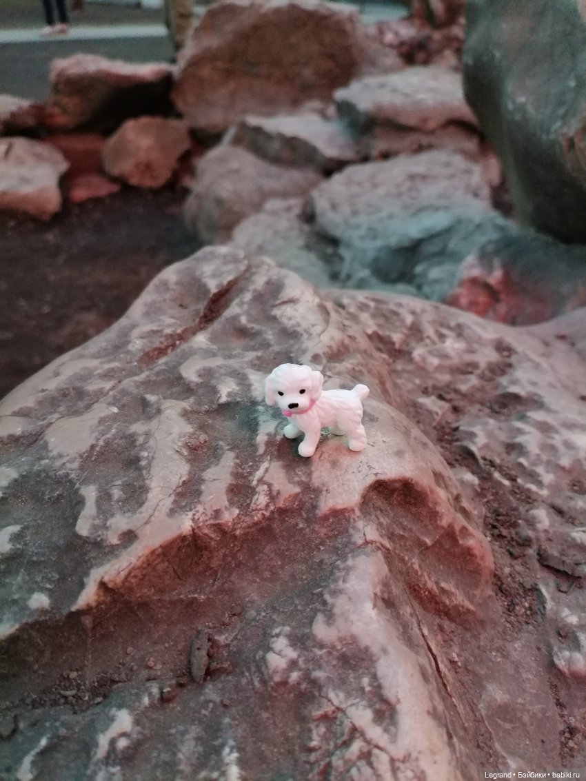 Санкт-Петербург. Цветение сакуры