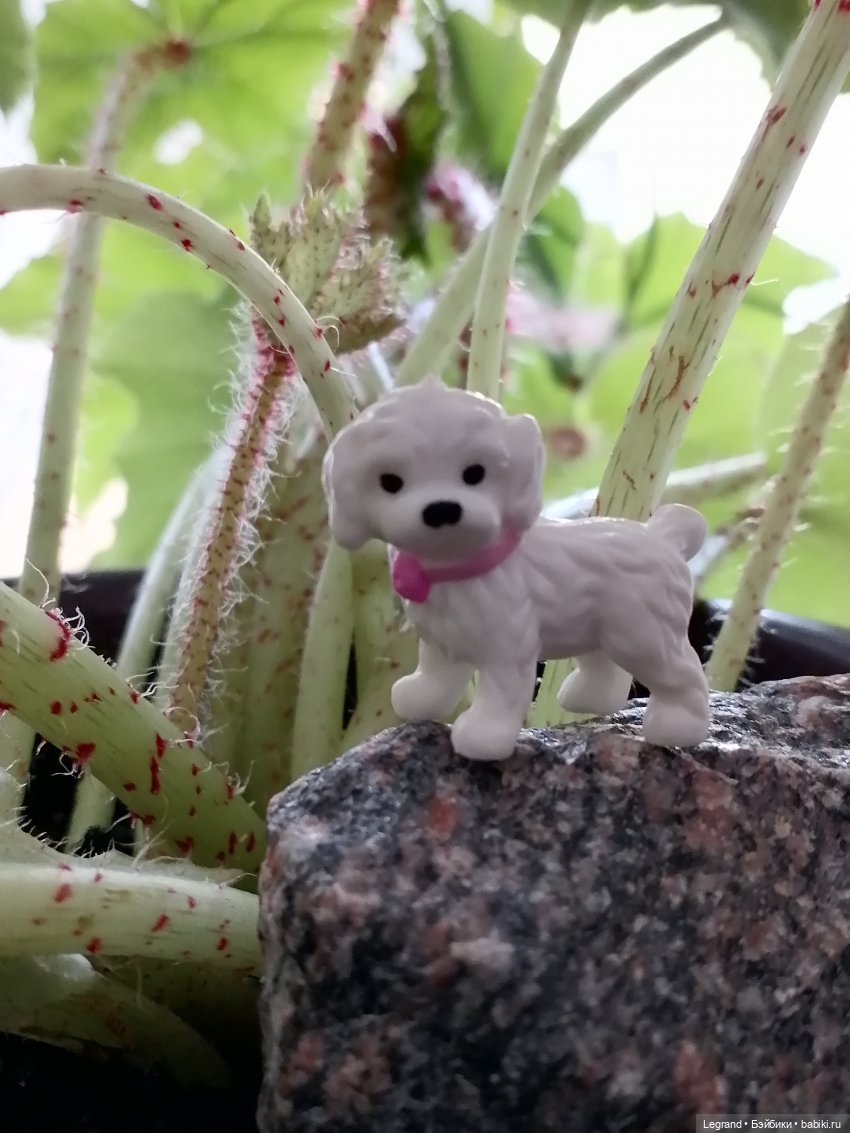 Санкт-Петербург: Айсель в вечернем Парадном