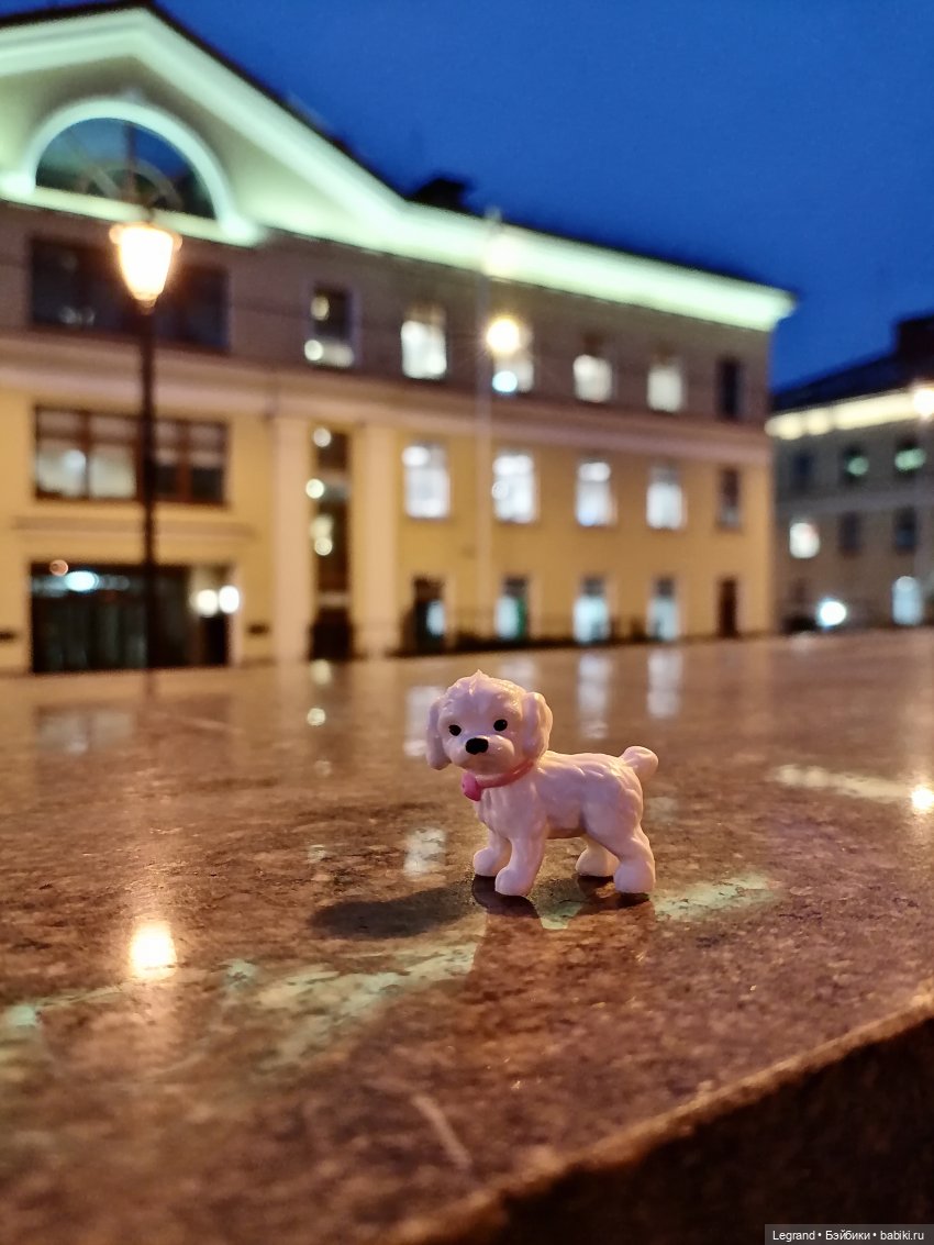 Санкт-Петербург: Айсель в вечернем Парадном (фото 8)