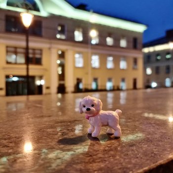 Санкт-Петербург: Айсель в вечернем Парадном