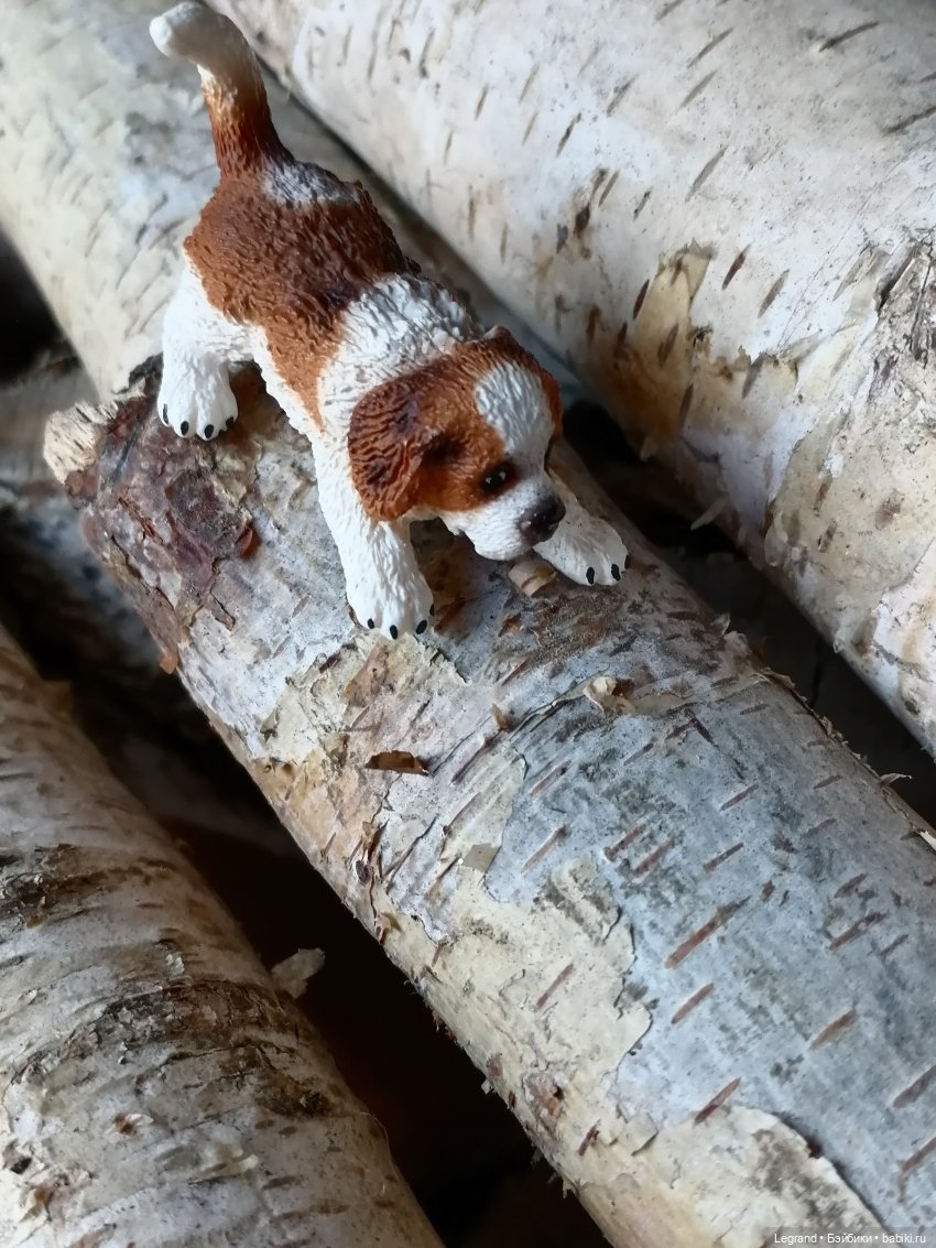 Айсель, Джан и цветочки в Парадном