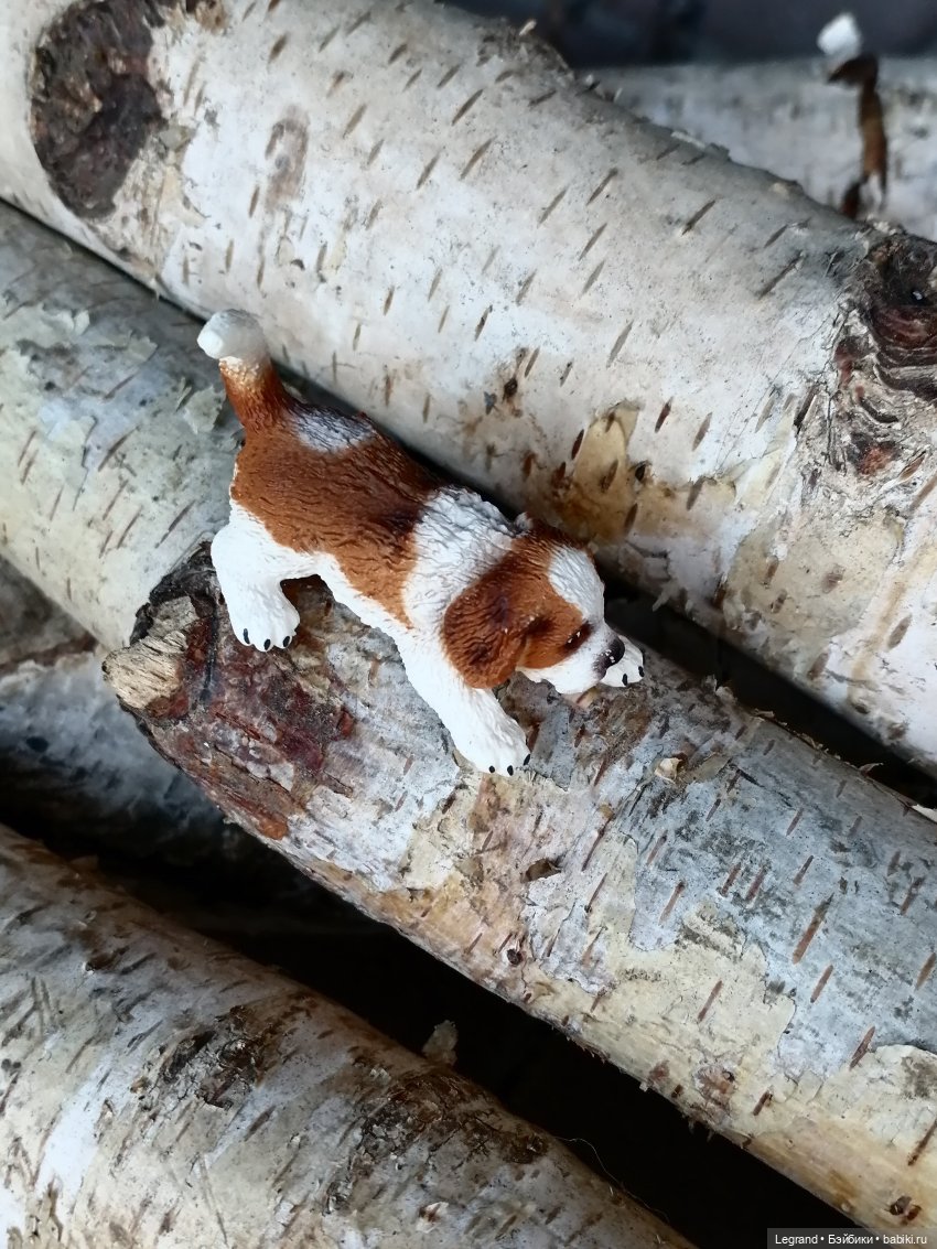 Айсель, Джан и цветочки в Парадном