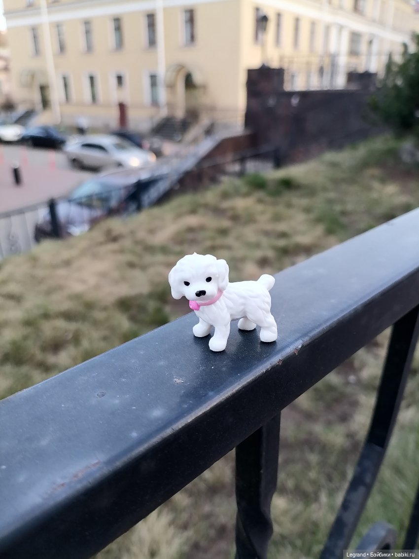 Айсель, Джан и цветочки в Парадном (фото 10)