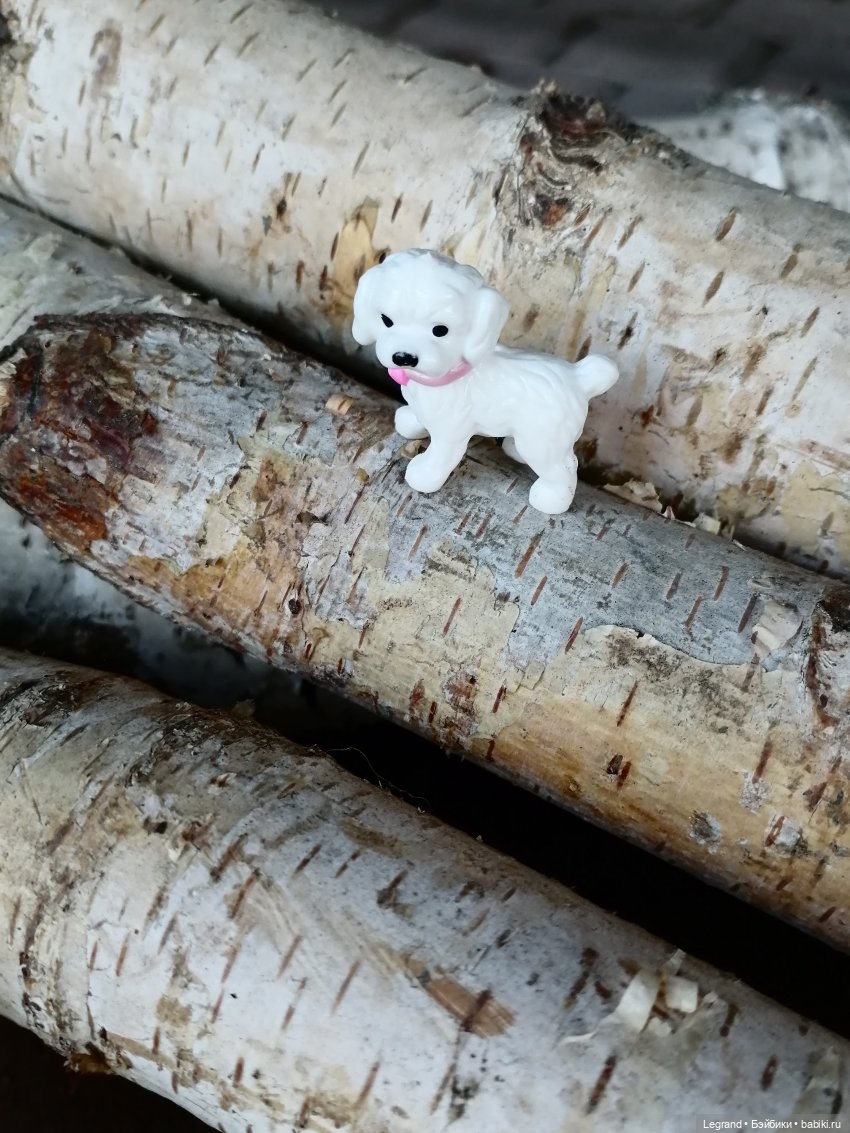 Айсель, Джан и цветочки в Парадном