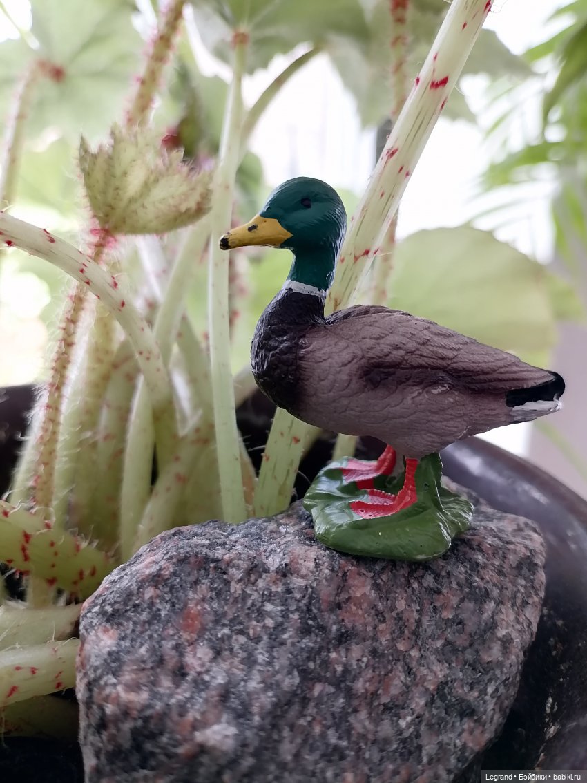 Лурения: любимая мелочь🤗 — Интересные игрушки и фигурки (разное): редкие