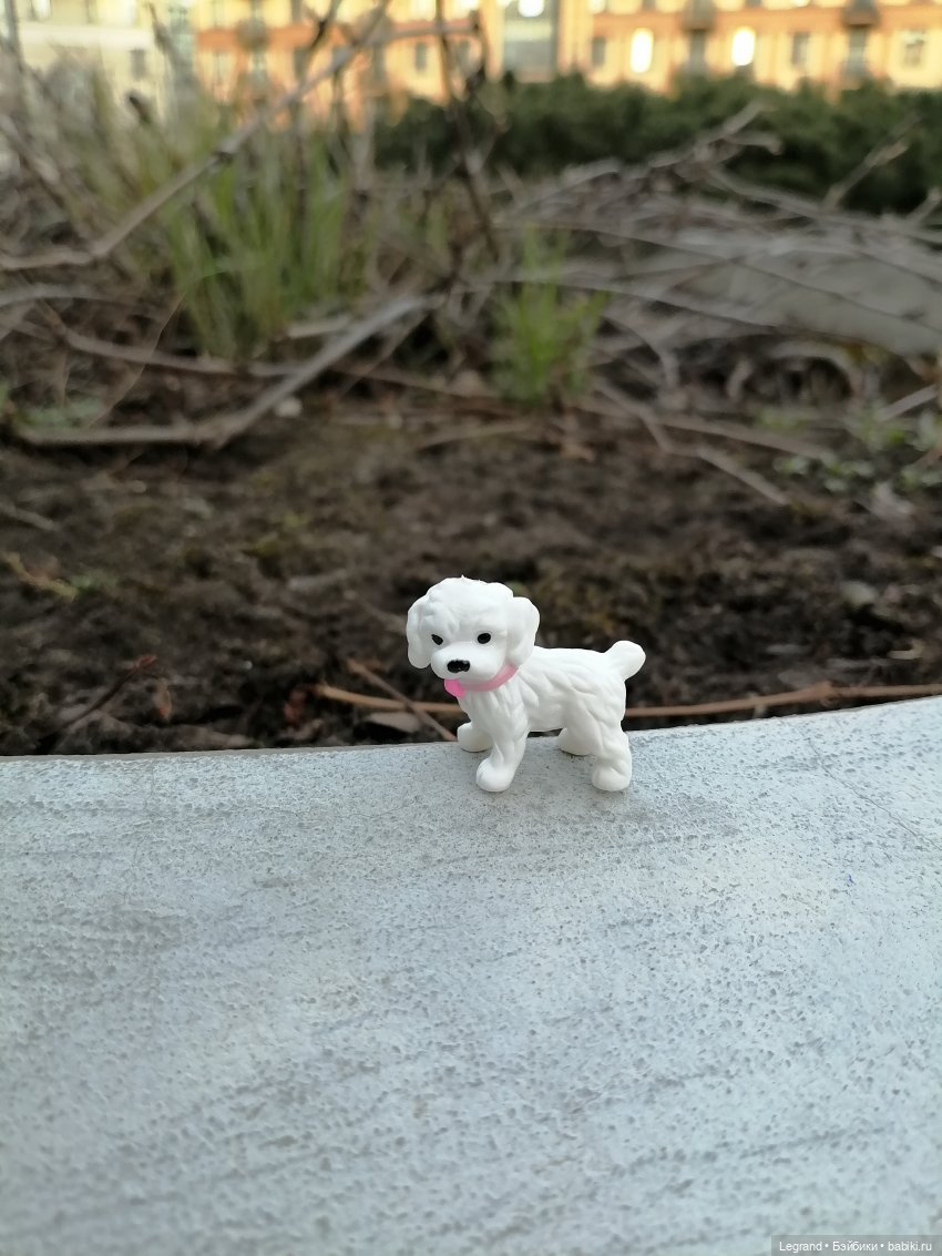 Айсель, Джан и цветочки в Парадном (фото 4)