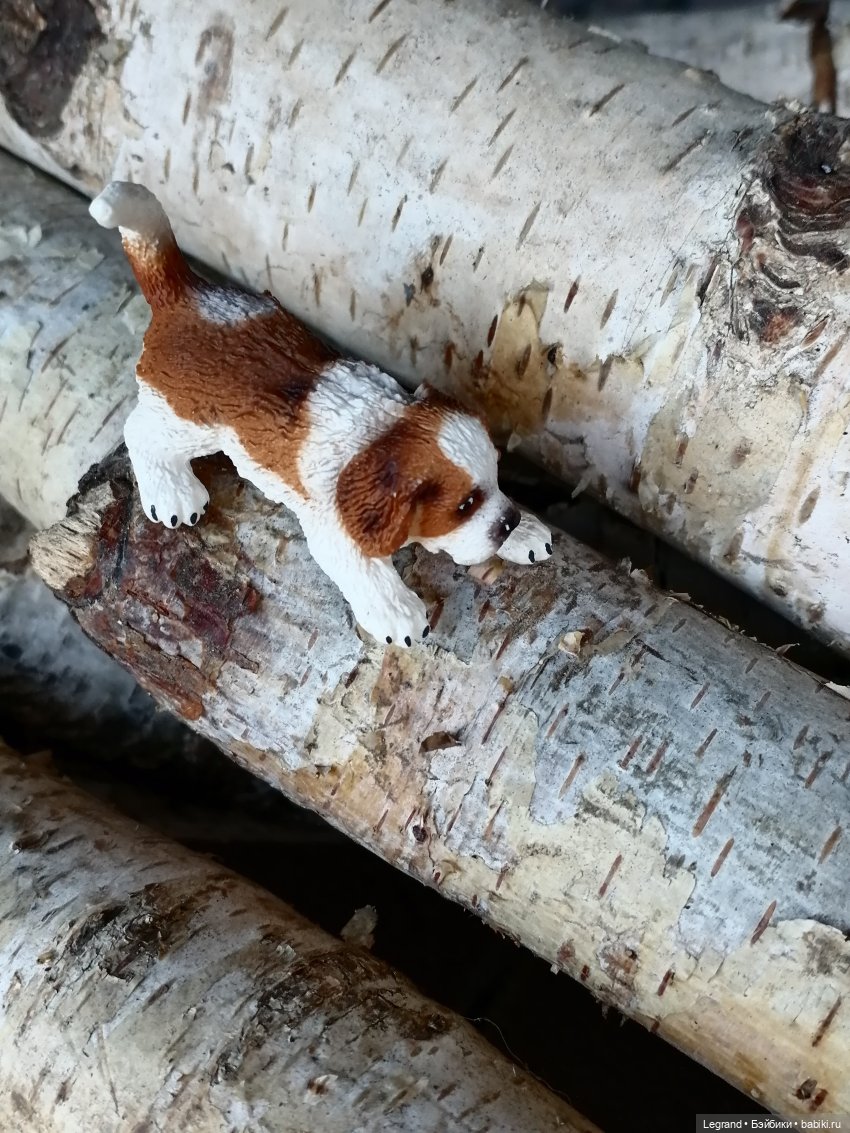 Айсель, Джан и цветочки в Парадном