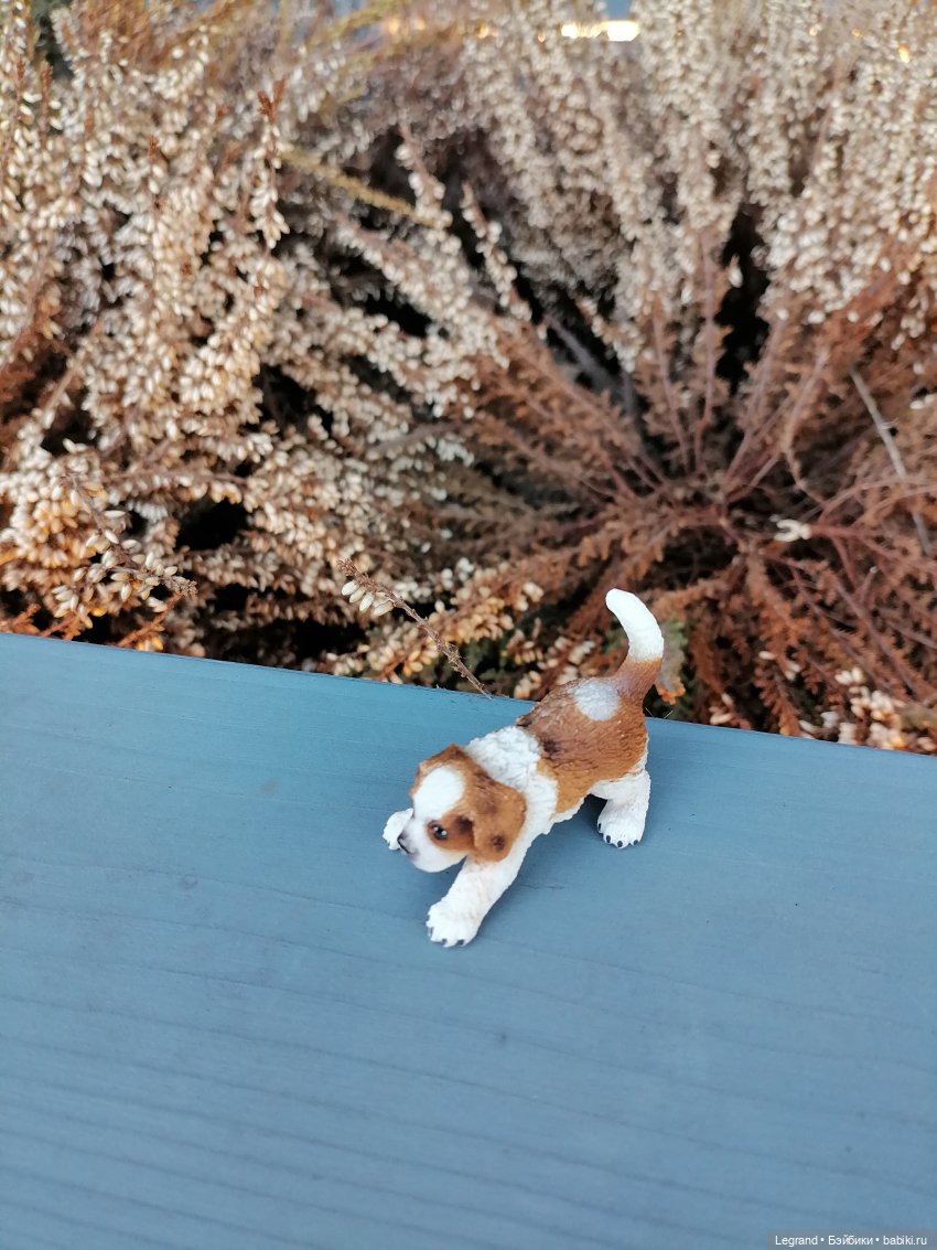 Айсель, Джан и цветочки в Парадном