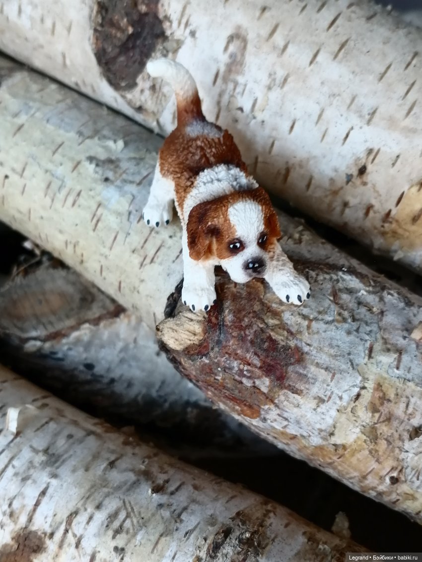 Айсель, Джан и цветочки в Парадном