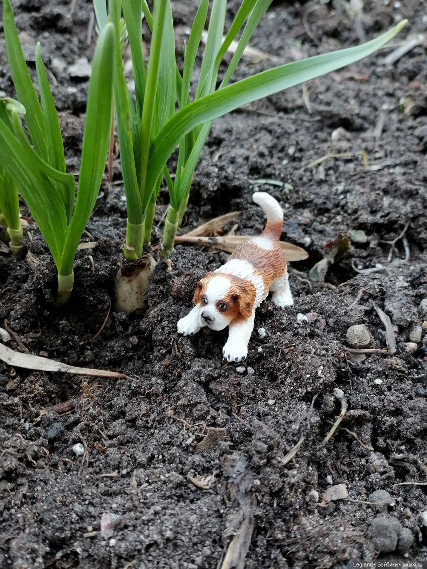 Айсель, Джан и цветочки в Парадном