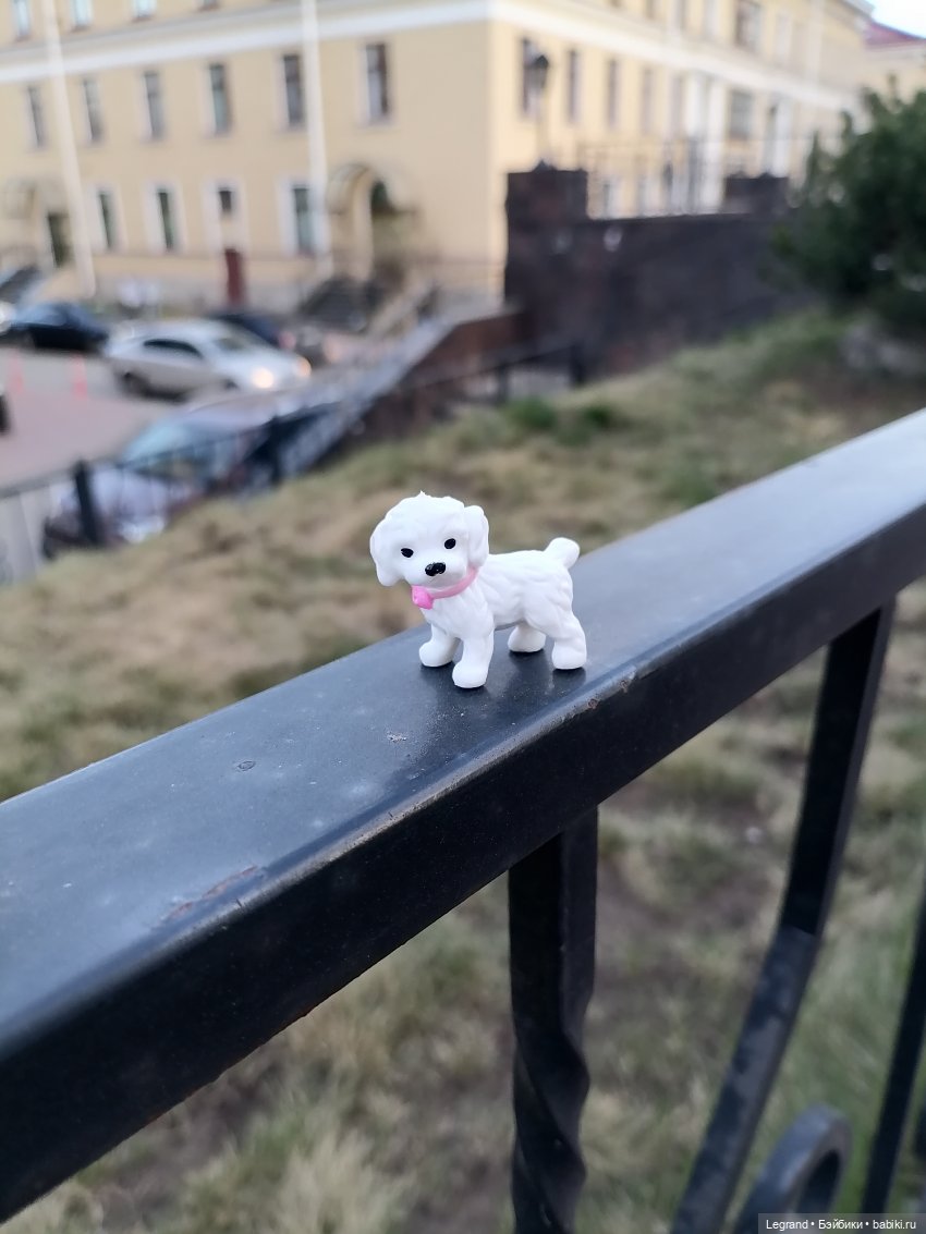 Айсель, Джан и цветочки в Парадном (фото 9)