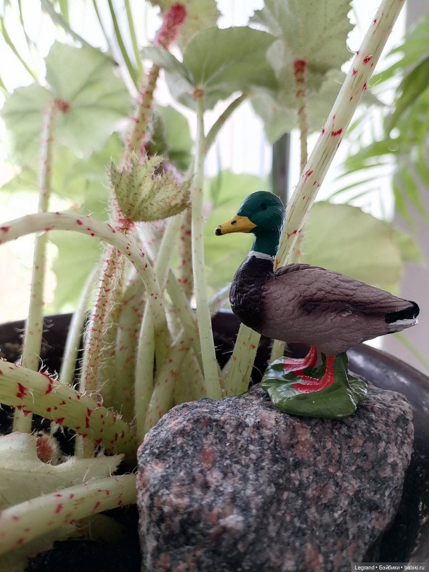 Лурения: любимая мелочь🤗 — Интересные игрушки и фигурки (разное): редкие