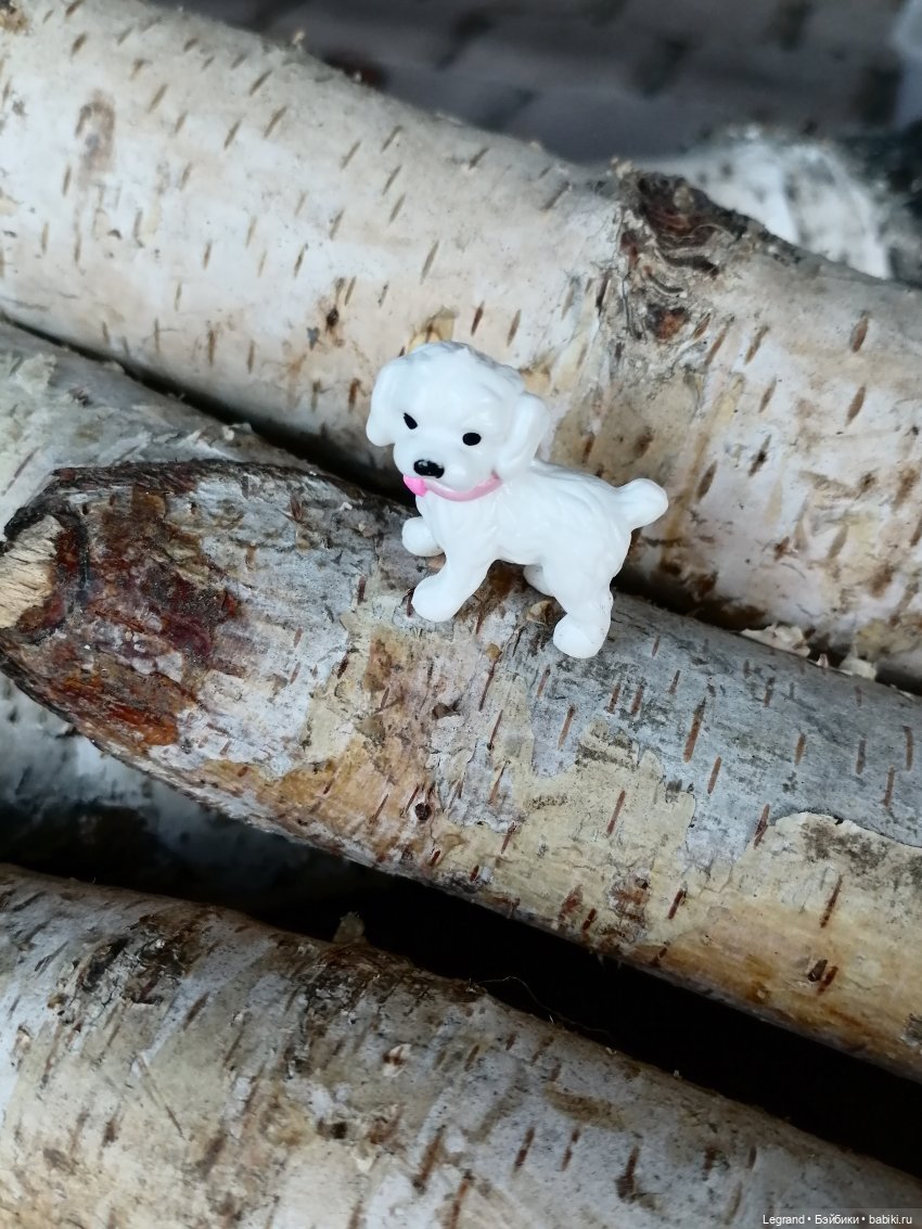 Айсель, Джан и цветочки в Парадном