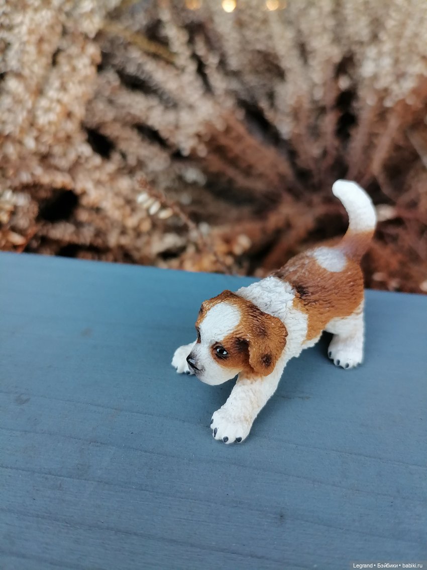 Айсель, Джан и цветочки в Парадном