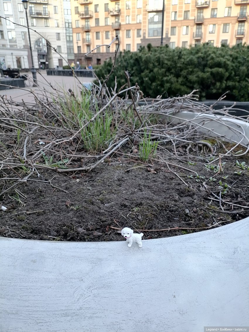 Айсель, Джан и цветочки в Парадном