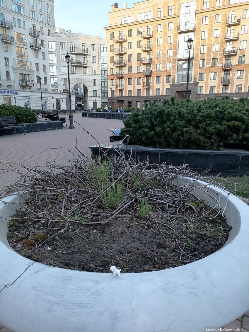 Айсель, Джан и цветочки в Парадном (фото 2)