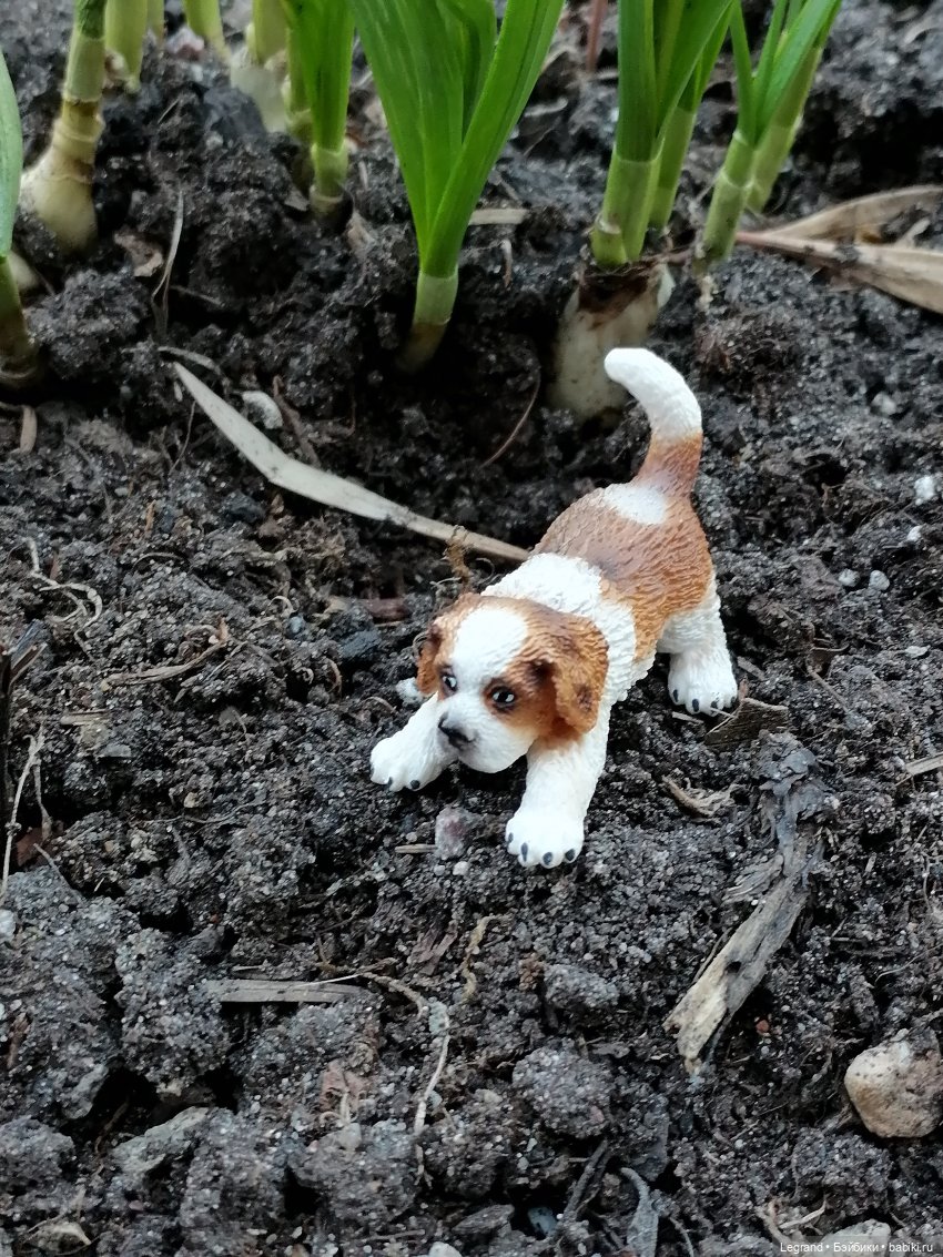 Айсель, Джан и цветочки в Парадном