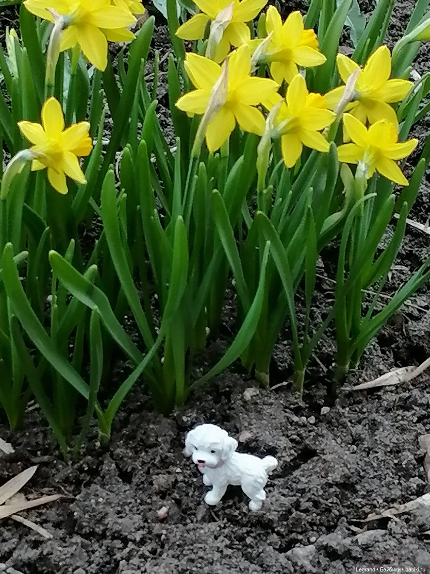 Айсель, Джан и цветочки в Парадном