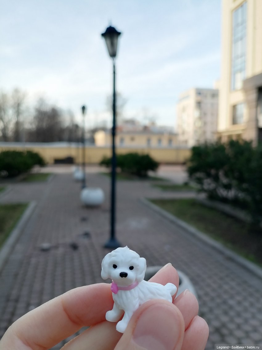 Айсель, Джан и цветочки в Парадном (фото 6)