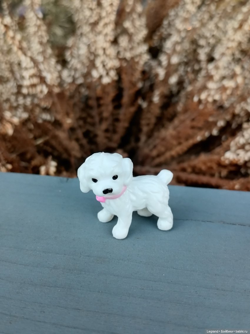 Айсель, Джан и цветочки в Парадном