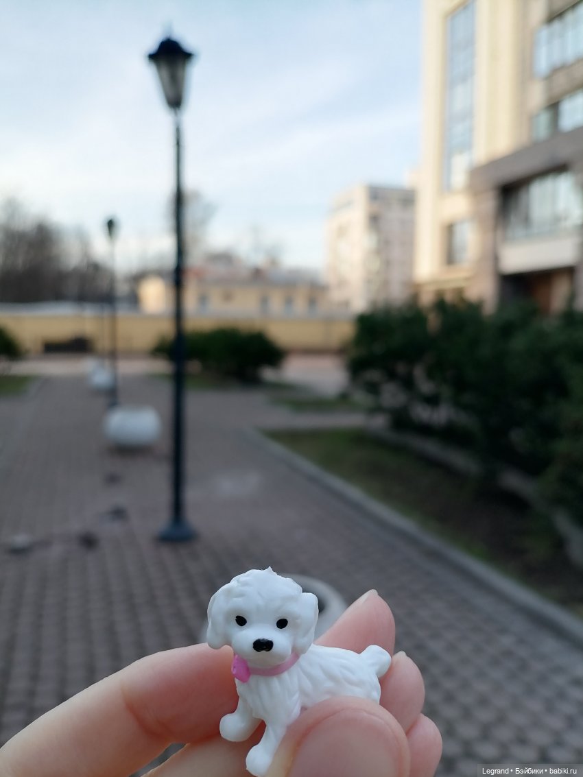 Айсель, Джан и цветочки в Парадном (фото 5)