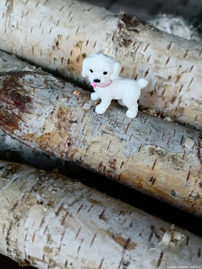 Айсель, Джан и цветочки в Парадном