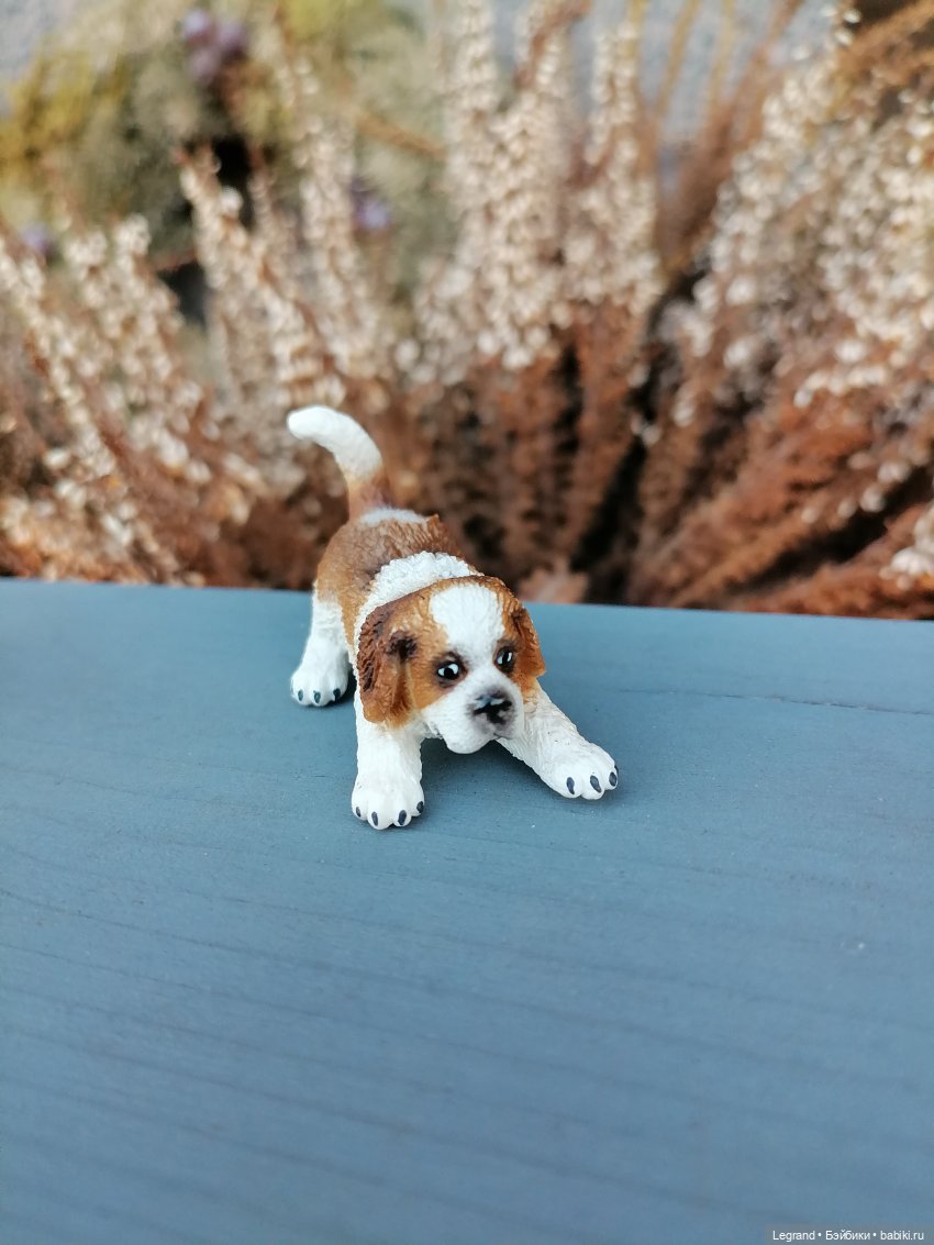 Айсель, Джан и цветочки в Парадном