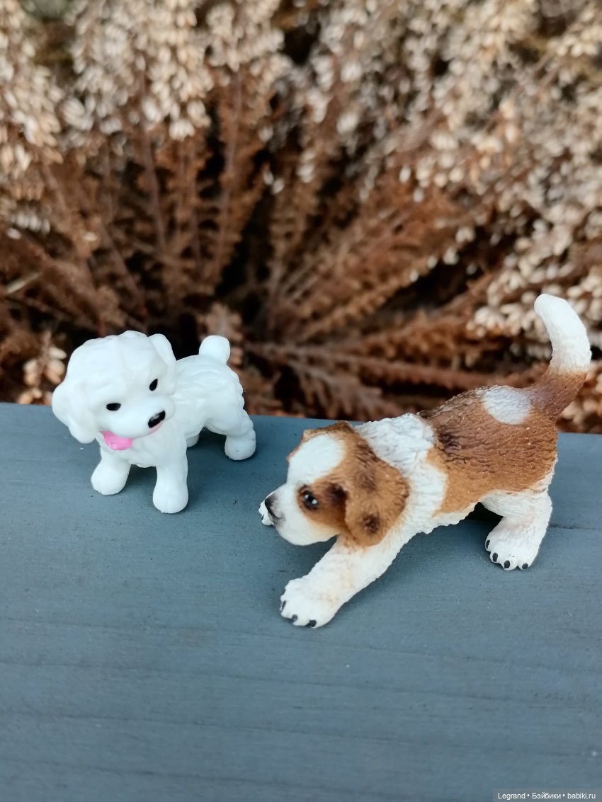 Айсель, Джан и цветочки в Парадном