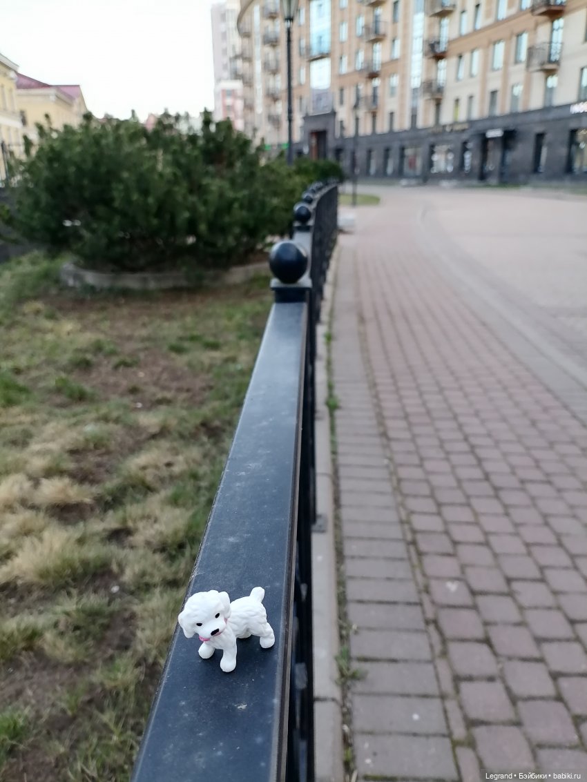 Айсель, Джан и цветочки в Парадном (фото 8)