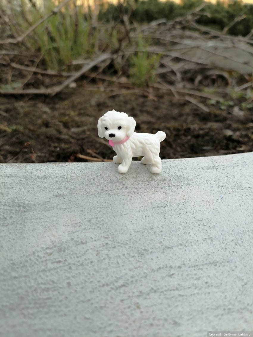 Айсель, Джан и цветочки в Парадном (фото 3)