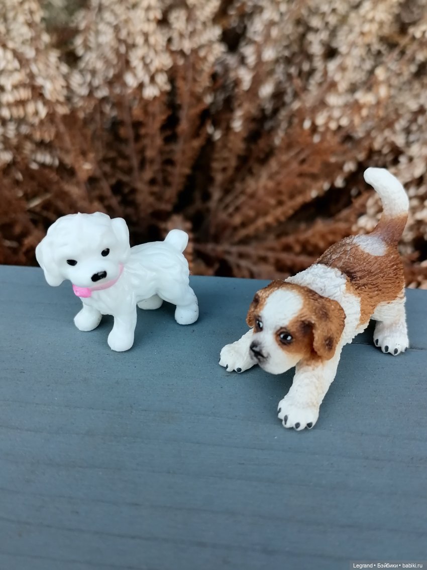 Айсель, Джан и цветочки в Парадном