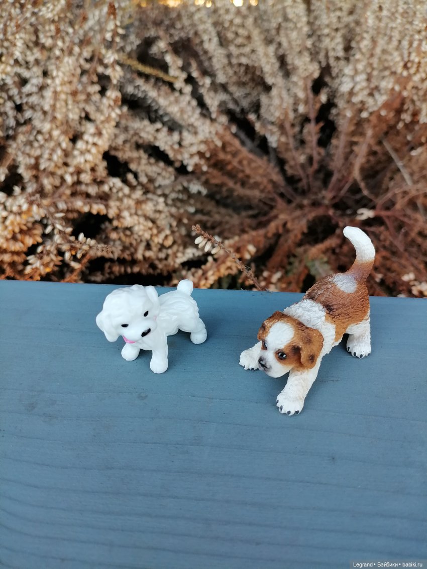 Айсель, Джан и цветочки в Парадном