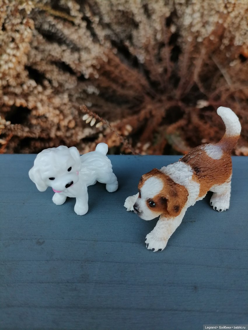 Айсель, Джан и цветочки в Парадном